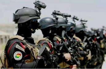 Peşmerge Profesyonelleşiyor