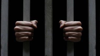 Almanya'da DAİŞ'in çevirmenine 3 yıl hapis