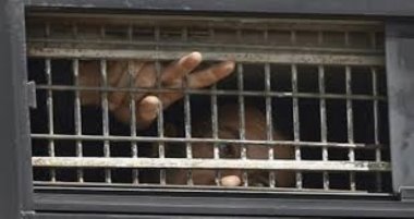 Filistinli mahkumlar açlık grevine son verdi