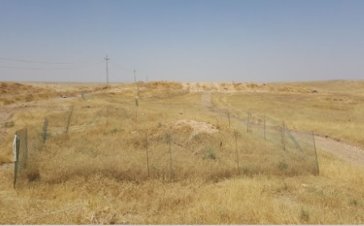 Şengal’deki toplu mezarlar neden açılmıyor?