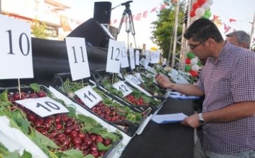 Mardin'de 13. Kiraz Festivali