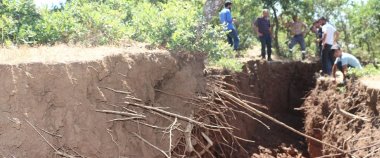 Bingöl'de yarıklar oluştu, çekirgeler akın etti