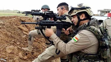 Peşmerge profesyonel ordu olma yolunda