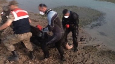 Elazığ’da su yüzeyinde ceset bulundu