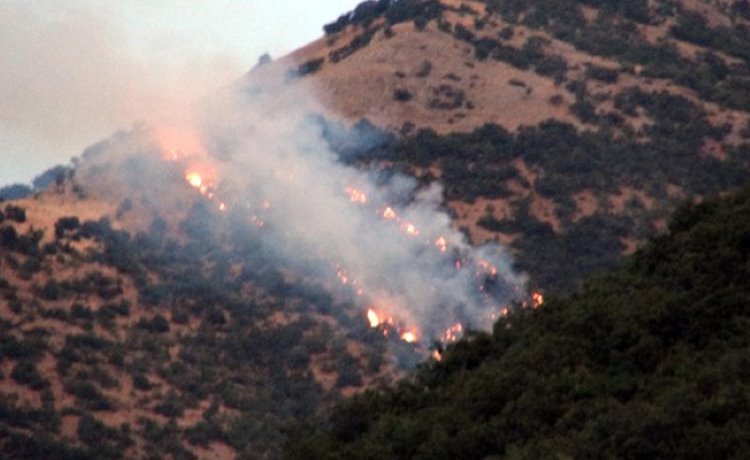 Dersim'de devam eden orman yangınlarıyla ilgili açıklama