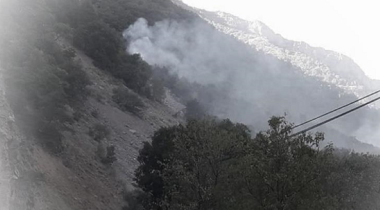 Dersim ve Şırnak'ta ormanlar ateşe veriliyor