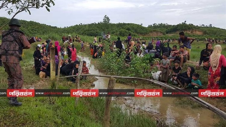 Güney Kürdistan'dan Myanmar çağrısı