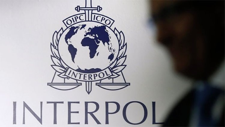 Interpol Türkiye'nin kırmızı bültenlerini askıya aldı