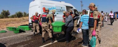 Tarım işçilerini taşıyan kamyonet kaza yaptı: 8 kişi hayatını kaybetti, 18 yaralı