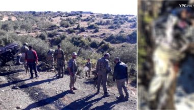 YPG Efrin'de zeytin hırsızlarını hedef aldı!