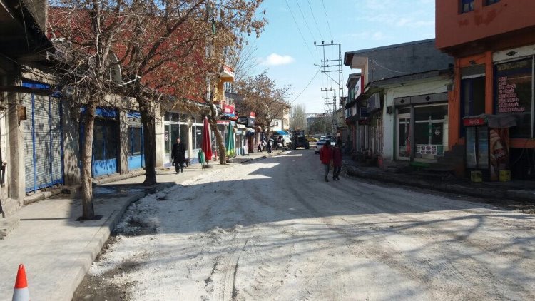 Kars Digor'da Kayyım, Orhan Doğan'ın ismini,Ehmedê Xanî'nin büstünü kaldırdı