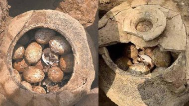 Çin'de 2500 yıllık yumurta bulundu