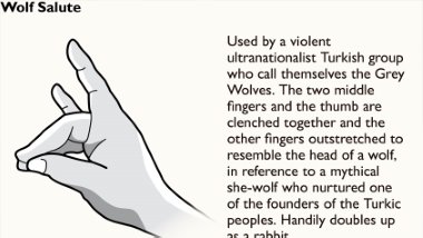 Avusturya'da Bozkurt ve Rabia işareti yasaklandı