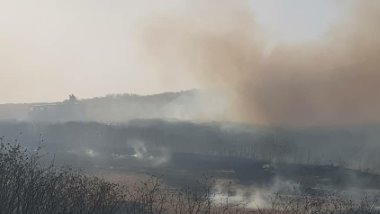 Haseke'de önlenemeyen yangın: Halk seferber oldu