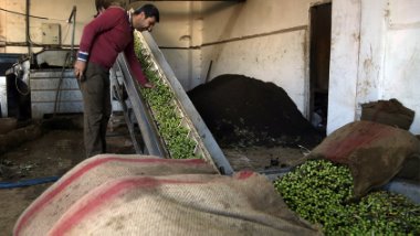 AK Parti'li vekilden itiraf: PKK'nın eline mi bırakacağız bunları?