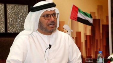 BAE Dışişleri Bakanı: Türkiye'nin Suriye'ye müdahalesi gözümüzü açtı