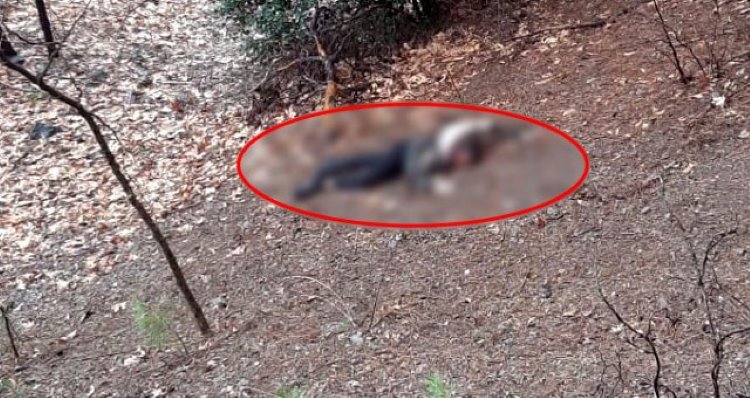 Kan donduran cinayet: Kumalığı kabul etmeyen kadını önce uçurumdan attı, ölmediğini görünce başını taşla ezdi!