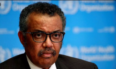 Dünya Sağlık Örgütü: "Maskeler tek başına salgını durduramaz