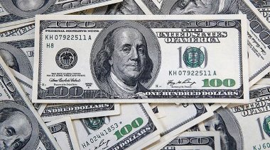 Dolar 20 ay sonra rekor kırdı