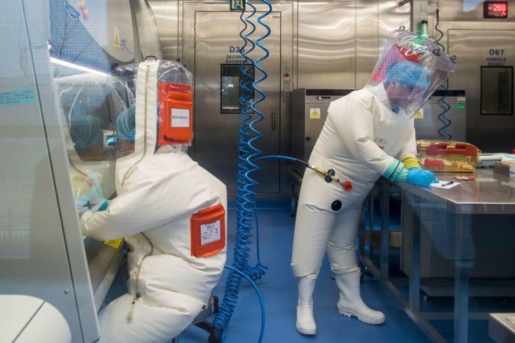 Wuhan Viroloji Enstitüsü: Koronavirüs bizim laboratuvarlarımızdan yayılmadı
