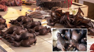 Çin'de vahşi hayvan ticaretine karşı bir hamle daha