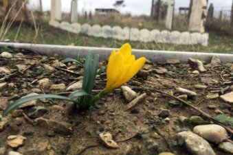 Süleymaniye'deki 'Kimsesizler Mezarlığı' isimsiz kadınlarla dolu