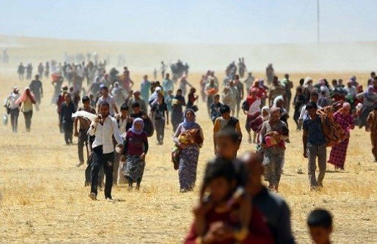 BM Ezidi soykırımıyla ilgili yeni belgelere ulaştı