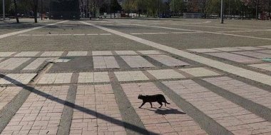 Türkiye'de, 15 ilde 6-7 Haziran hafta sonu sokağa çıkma yasağı