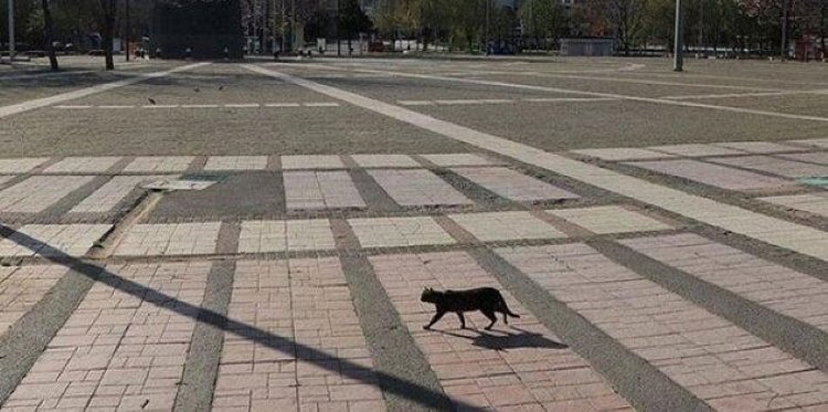 Türkiye'de, 15 ilde 6-7 Haziran hafta sonu sokağa çıkma yasağı