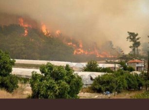 Müdahale edilmedi: Lice’de 600 hektarlık alan kül oldu