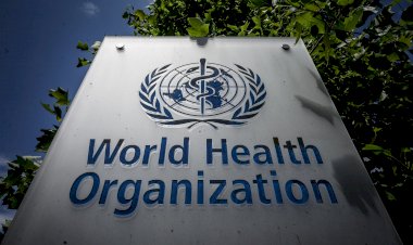 Dünya Sağlık Örgütü’nden dünyaya grip aşısı olma çağrısı