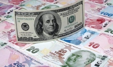 ABD’de Joe Biden Seçilirse JP Morgan’dan Çarpıcı Dolar Senaryoları!