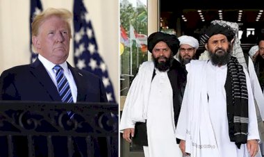Taliban Sözcüsü: Umarız seçimleri Trump kazanır