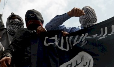 Sere Kaniye'de IŞİD bayraklı Fransa protestosu