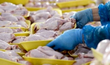 Suudi Arabistan Türkiye’den hayvansal ürün ithalatını yasakladı