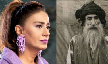 Hasan Cemal'den "Vatan haini" Yıldız Tilbe'ye mektup; canını fazla sıkma!