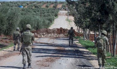 Türkiye, Efrin zeytin yağını ABD’ye pazarlamaya çalışıyor