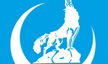 Hollanda, AB'nin 'Bozkurtlar'ı yasaklayıp yaptırım listesine almasını istiyor