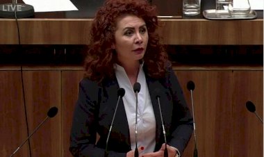 Viyana Büyükelçisi, Berivan Aslan'ı 'Türkiyeli' saymadı