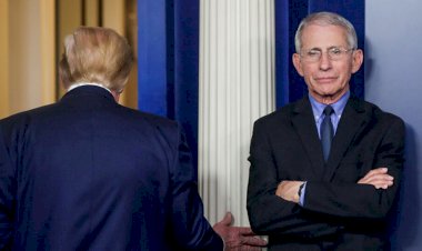 Anthony Fauci, Biden'ın salgınla mücadele ekibinde yer alacak