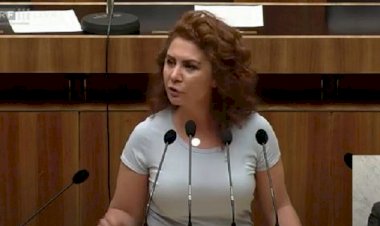 Berivan Aslan: Ben Kürt vekil değilim, Avusturyalı vekilim