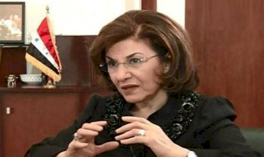 Esad’ın danışmanından, DSG açıklaması