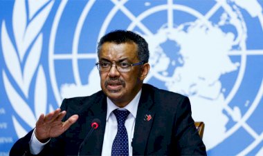 DSÖ'den mutasyona uğrayan virüse ilişkin açıklama