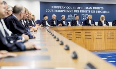 Eski AİHM Yargıcı, AİHM’nin Demirtaş kararını değerlendirdi