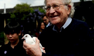 Chomsky: Rojava uluslararası destek olmazsa hayatta kalamayabilir