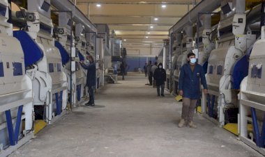 Rojava ilk büyük yağ fabrikasını açtı