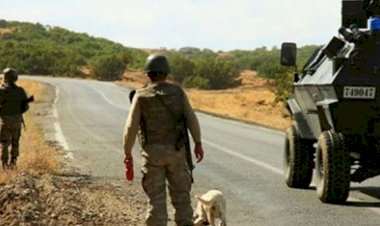 Mardin'de operasyon nedeniyle 9 mahallede sokağa çıkma yasağı ilan edildi