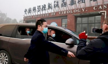 DSÖ'den virüsün çıkış yeri Vuhan'a dair ilk tespit