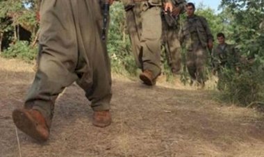 Alî Avnî: PKK Kürtlerin içerisindeki Truva Atı'dır