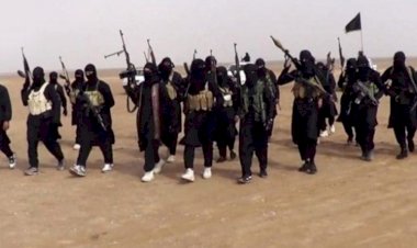 Peşmerge Komutanı: Suriye’den 100 IŞİD’li Musul Ovası’na geçti